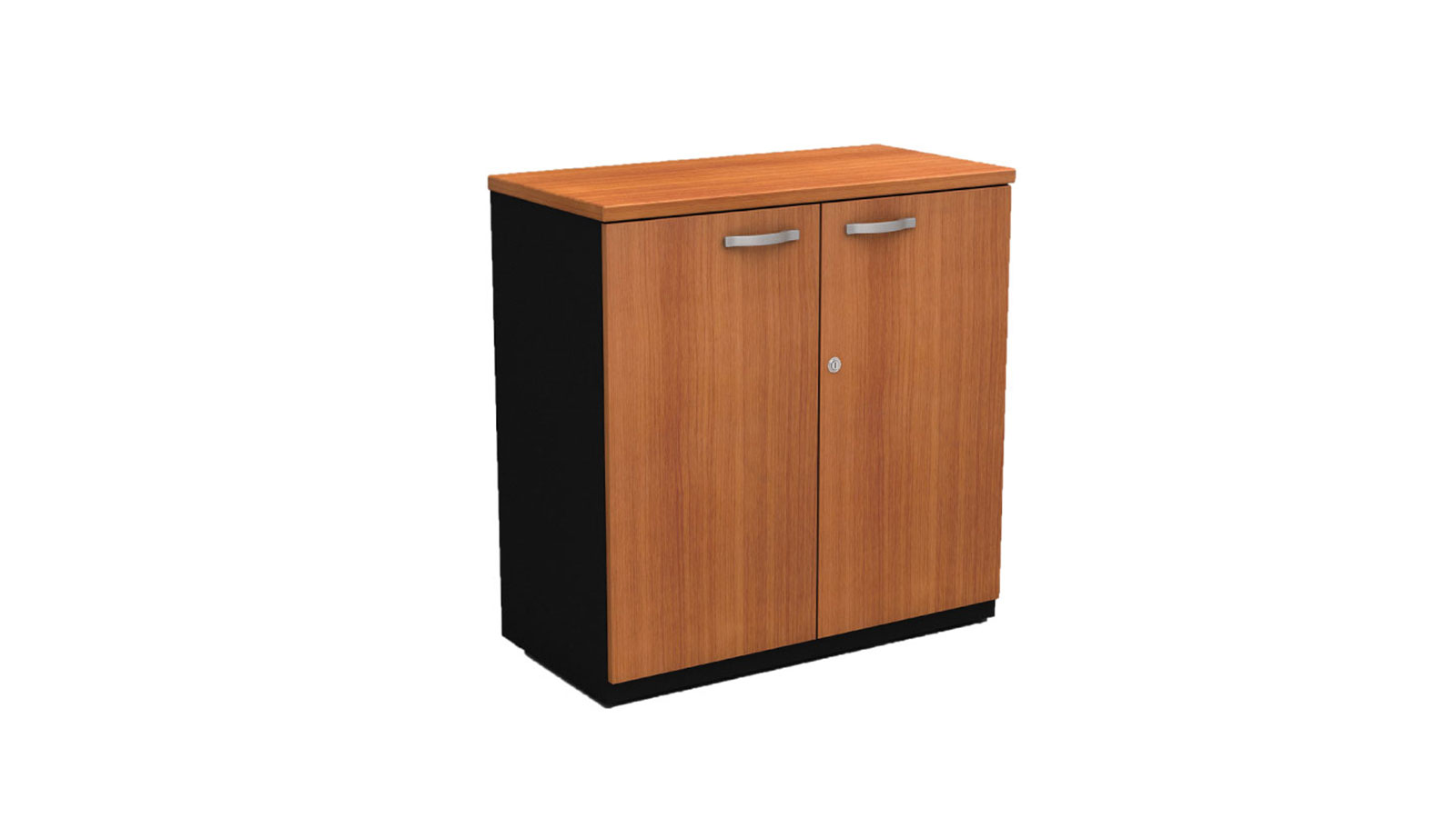 Cabinet 2 Door